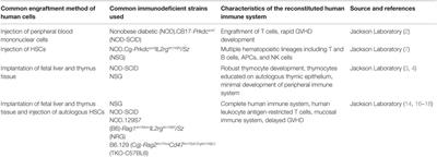 The Use of the Humanized Mouse Model in Gene Therapy and Immunotherapy for HIV and Cancer